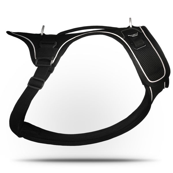 Curli Belka Harness Black
