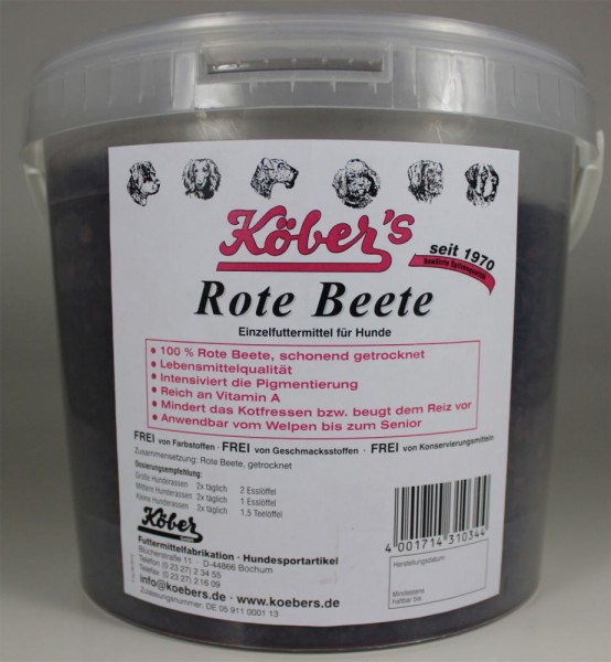 Hund Rote Beete