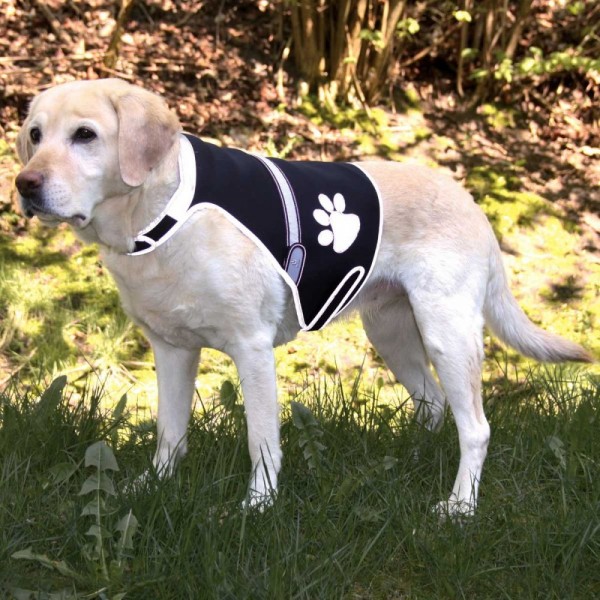 Trixie Flash Sicherheitsweste für Hunde